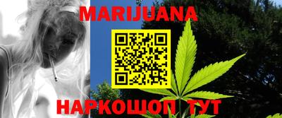 шишки Коммунар