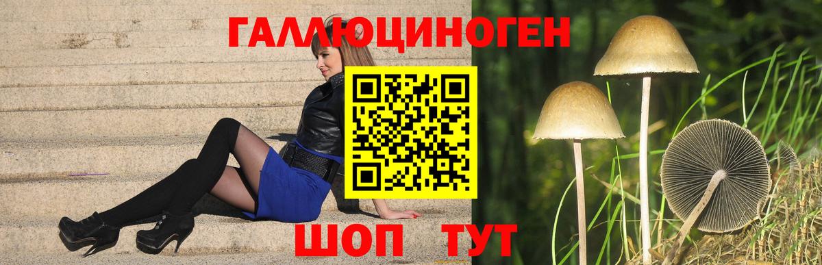 Галлюциногенные грибы MAGIC MUSHROOMS Кимры